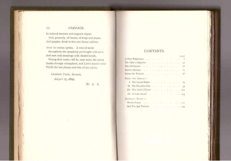 A New Pilgrimage and Other Poems - 1889
