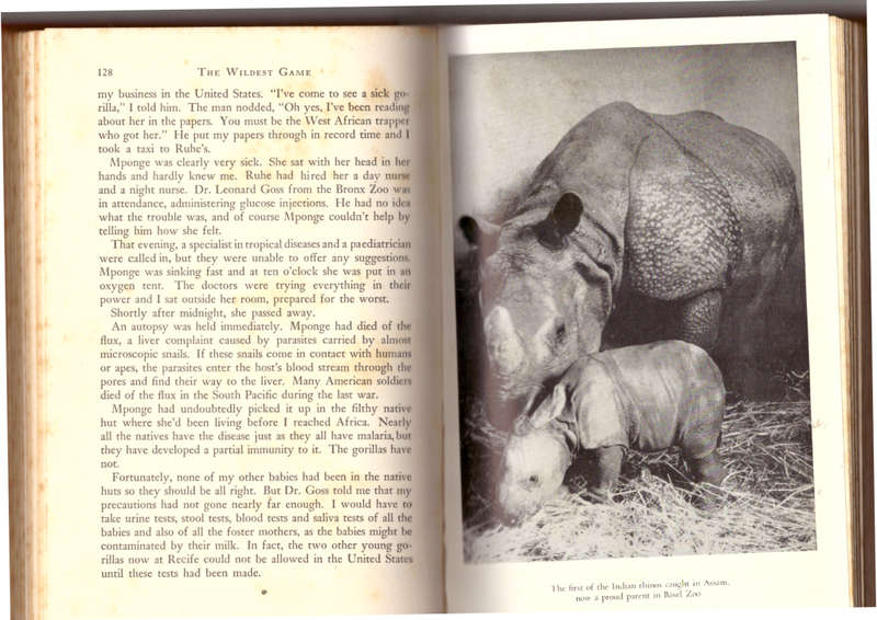 The Wildest Game - Peter Ryhiner