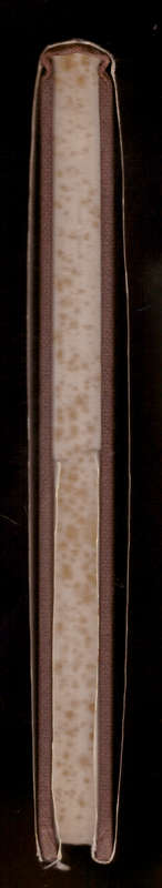 English Bracket and Mantel Clocks