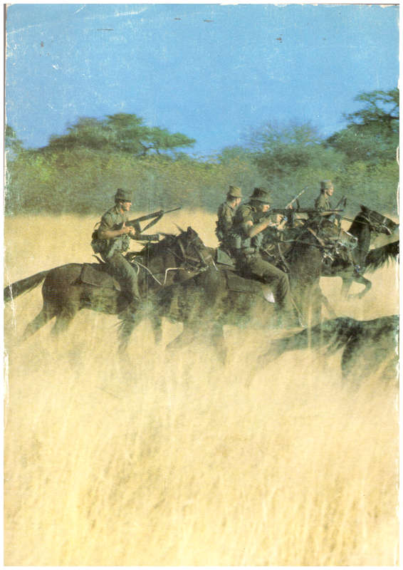 Bushwar, Bosoorlog, Buschkrieg