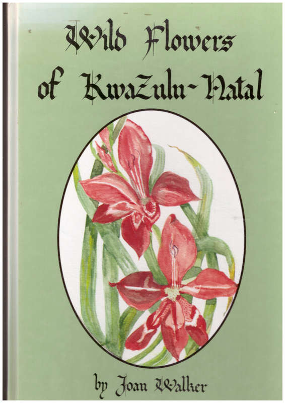 Wild Flowers of KwaZulu-Natal
