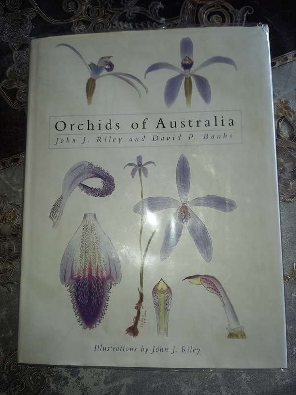 Orchids of Australia