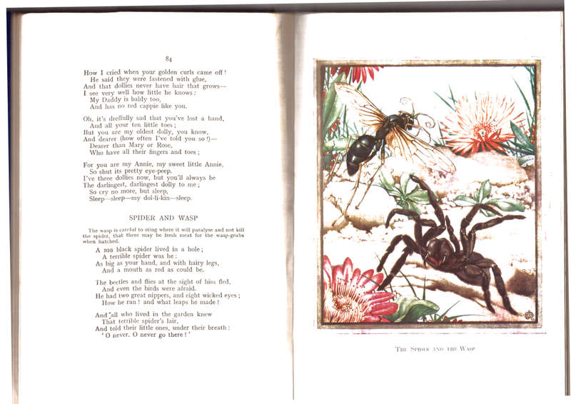 Poems of a South African , the collected verse of Arthur Vine Hall