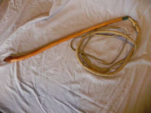 AFRIKANER KARWATS/SHAMBOCK/HORSEWHIP HIGHLY COLLECTIBLE