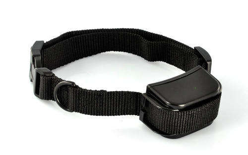 shock collar