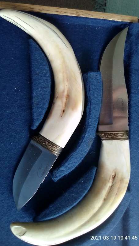 SET OF WARTHOG TUSKS KNIVES