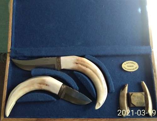 SET OF WARTHOG TUSKS KNIVES