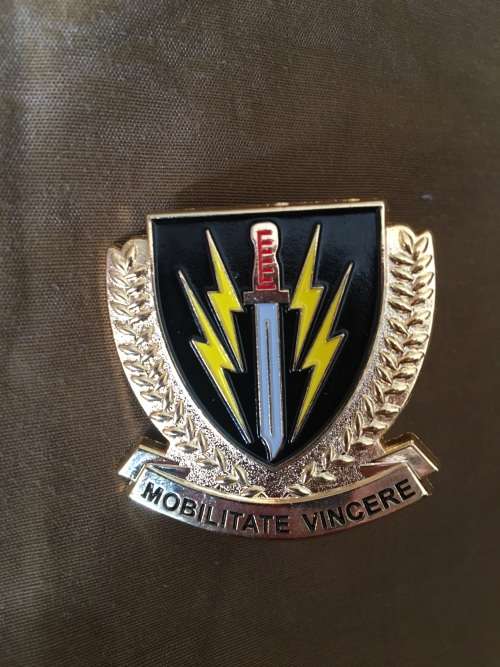 61 Mech beret badge VA
