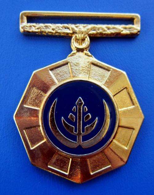 Full Size Pro Patria Medal
