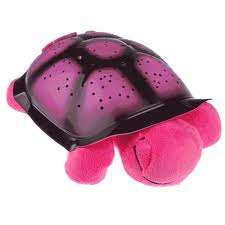 TURTLE NIGHT SKY WITH MUSIC...PINK