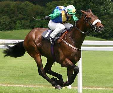 WIN A TRIP TO THE DUBAI WORLD CUP, AIR TICKETS, ACCOMODATION