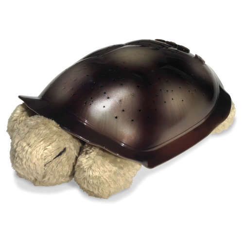 TURTLE NIGHT SKY CONSTELLATIONS