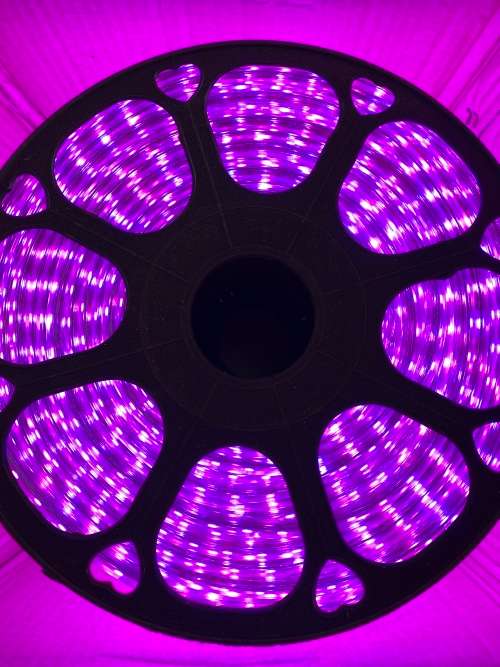 100M High Quality LED strip Light whit plug