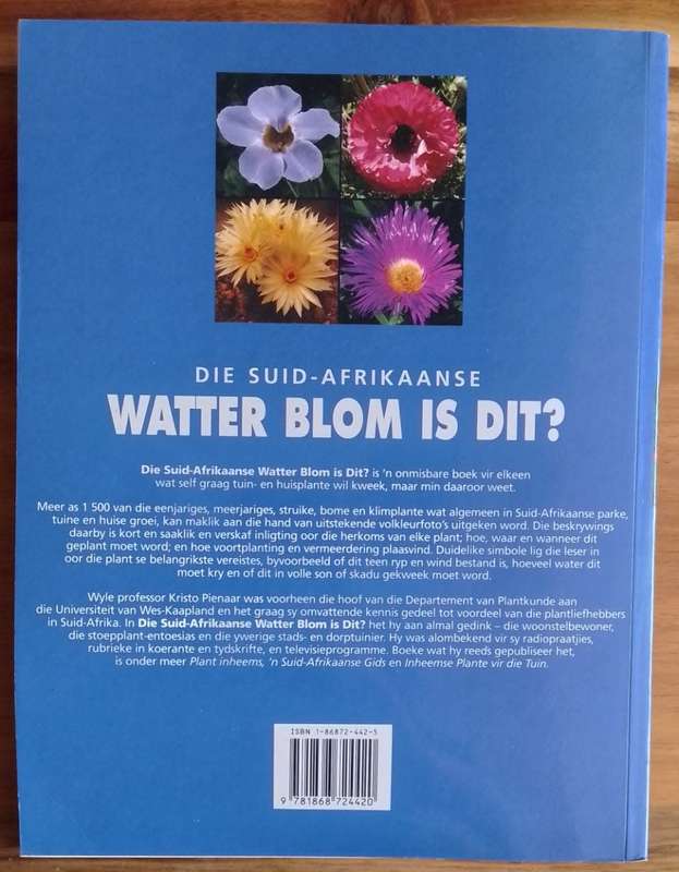 Watter Suid-Afrikaanse blom is dit - Kristo Pienaar