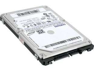 SAMSUNG HM321HI 320GB 5400 RPM 2.5" SATA 3.0Gb/s Internal Notebook Hard