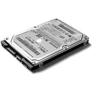 SAMSUNG Spinpoint 320GB 5400 RPM 8MB Cache SATA 3.0Gb/s 2.5" Internal Notebook Hard Drive