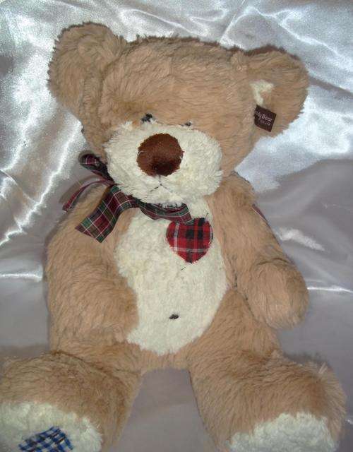 Teddy bear