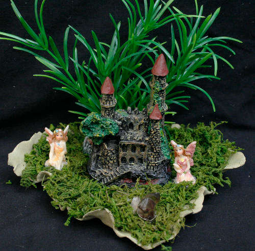Fairy garden