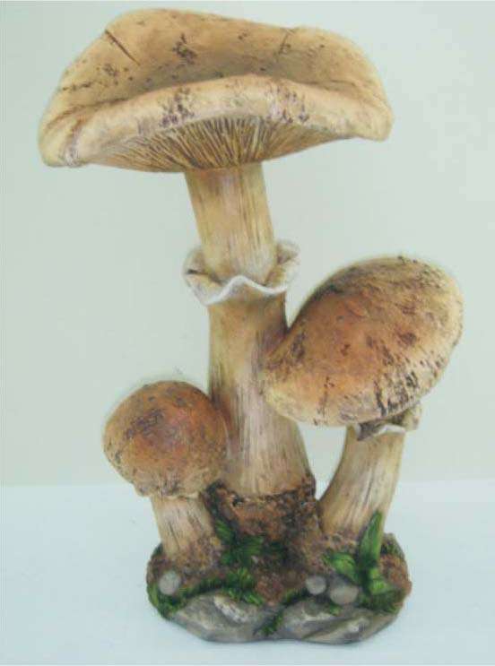 Garden mushroom - Closing down sale !!!