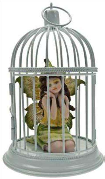 Fairy - Closing down sale !!!