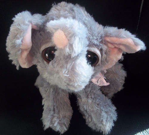Super soft teddy - Closing down sale !!