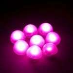 Fairy berries - lights (12) - Closing down sale !!!!