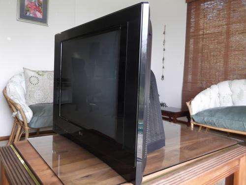 LG Model 29FU1RG XD TV