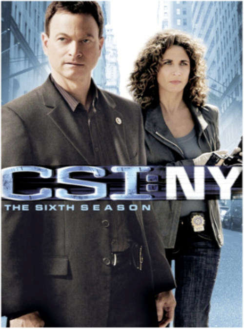 CSI: NY - The Complete Sixth Season (DVD)