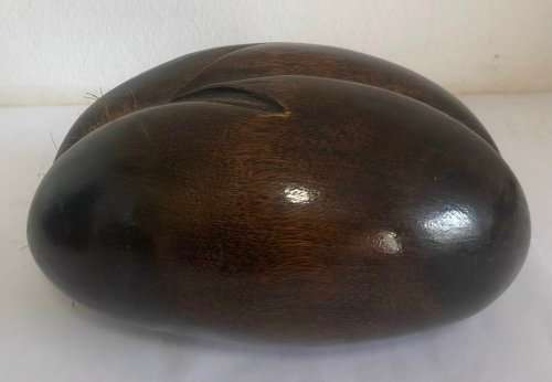 Coco De Mer Seed