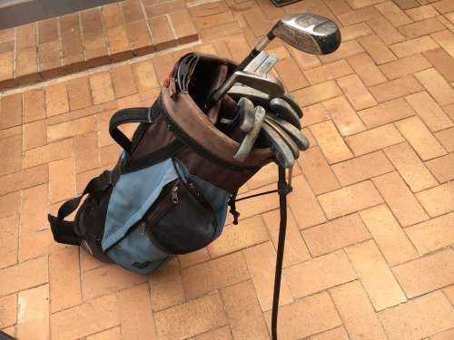 Bag with 10 putters and 2 other clubs