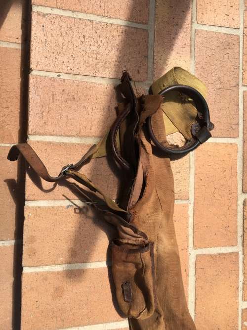 Wow & Unbelievable Vintage Golf Bag - collectors item