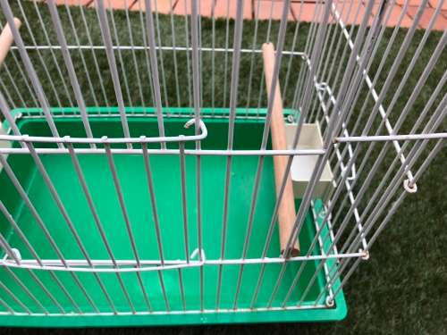 Lovely bird or pet cage
