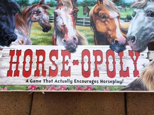 Like new Horse-o-poly fantastic and different