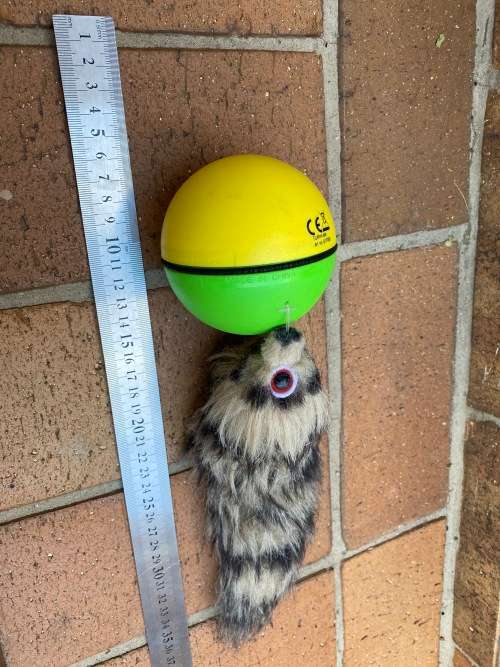 Cat playground toy