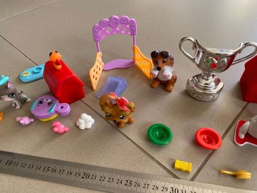 Lot of dog related toys and items