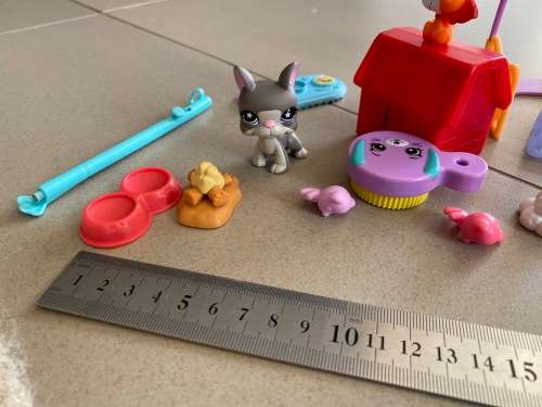 Lot of dog related toys and items