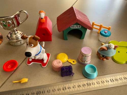 Lot of dog related toys and items