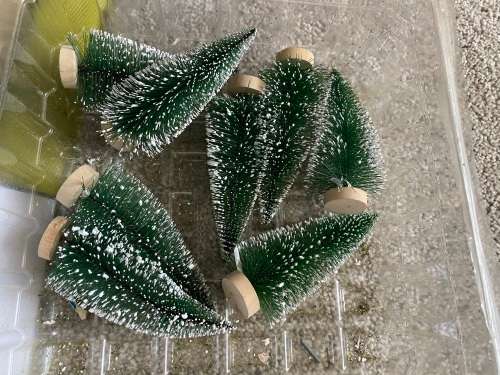 Trees with snow cap