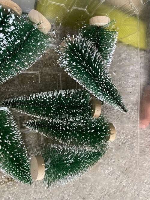 Trees with snow cap