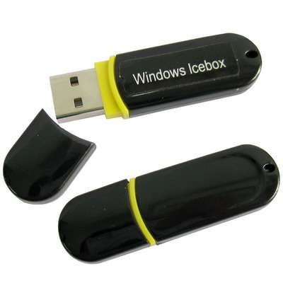 Windows Icebox