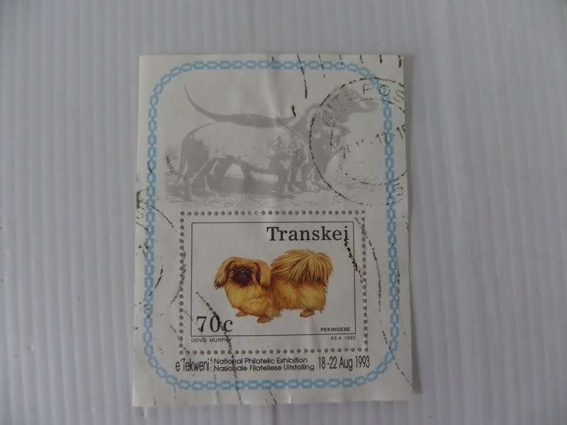 Transkei SAF08 (1983) - Dog Breeds Postal Used Miniature Sheet (Scarce !!)