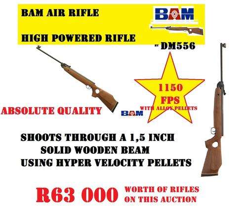 THE ALL NEW BAM HIGH POWERED RIFLE 1150 FPS WHEN SHOT WITH ALLOY PELLETS R3195.95