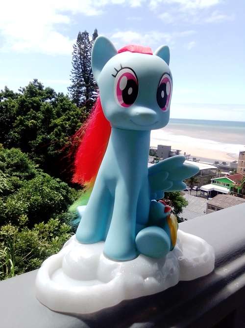 Very Rare.My Little Pony MLP Rainbow Dash Style and Grooming Hasbro (HTI) figurine toy