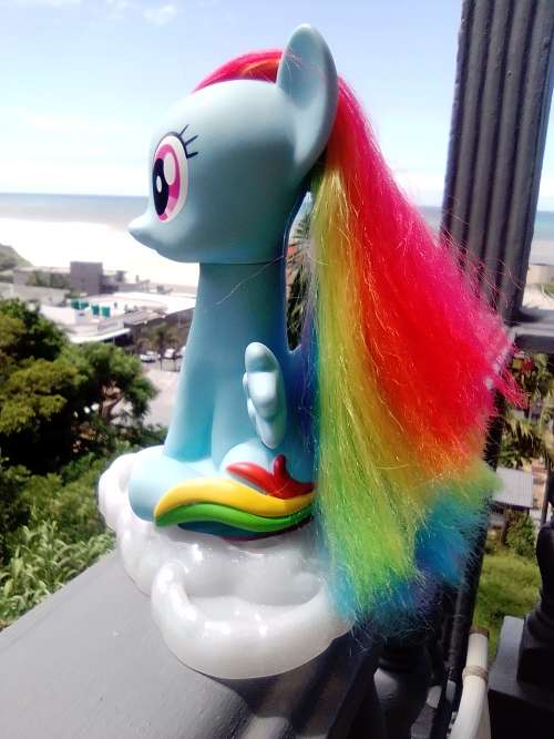 Very Rare.My Little Pony MLP Rainbow Dash Style and Grooming Hasbro (HTI) figurine toy