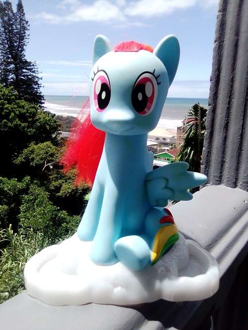 Very Rare.My Little Pony MLP Rainbow Dash Style and Grooming Hasbro (HTI) figurine toy