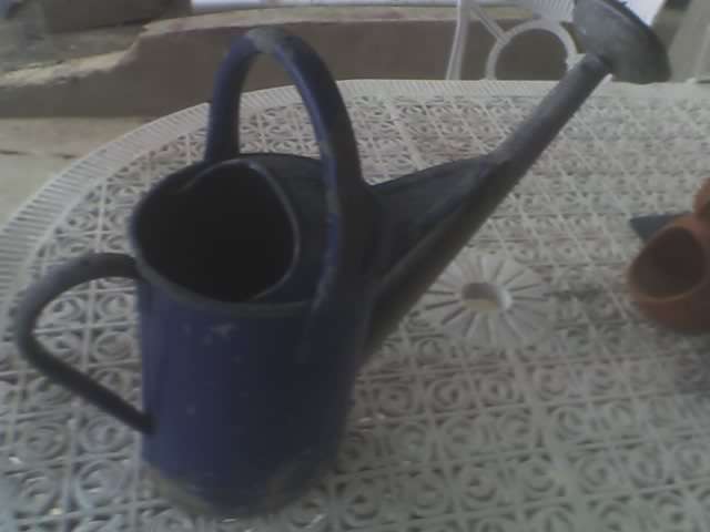 1 Galon Old Blue Watering Can, a Bit rusty ,can be used as a planter.