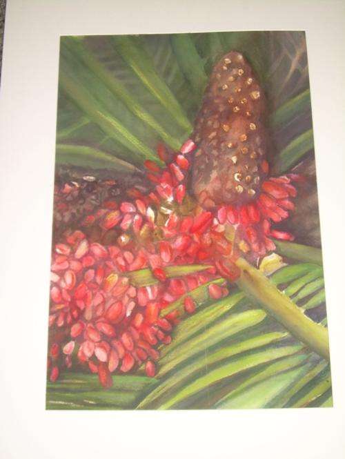 Cycad   Altensteinii. Cones and leaves .with Mount  No Frame.Watercolours.texure paper