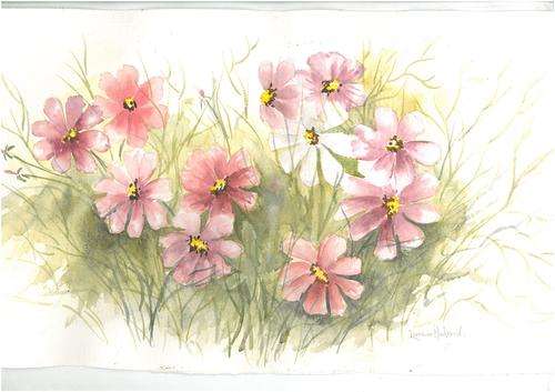 COSMOS  ..watercolours..**eASTER cLEARANCE**.  UNFRAMED.  ART PAPER. MED SIZE
