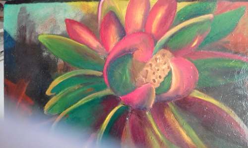 LEUCODENDRON FLOWER.OILS.   ON PANEL  *********clearance........