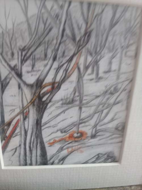 Graphc Miniature of Trees.     Pencil work.  new listng